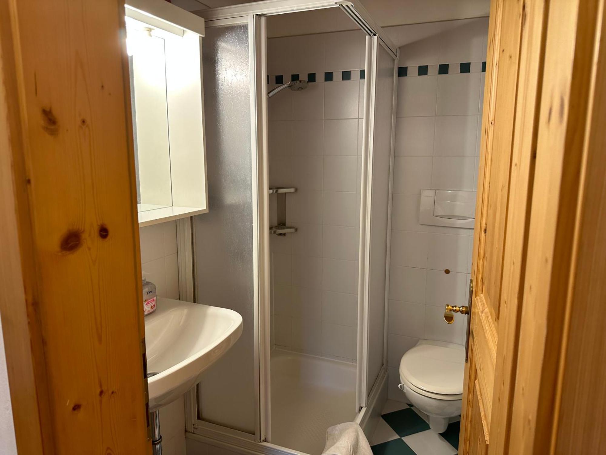 Apartamento Haus Santner *